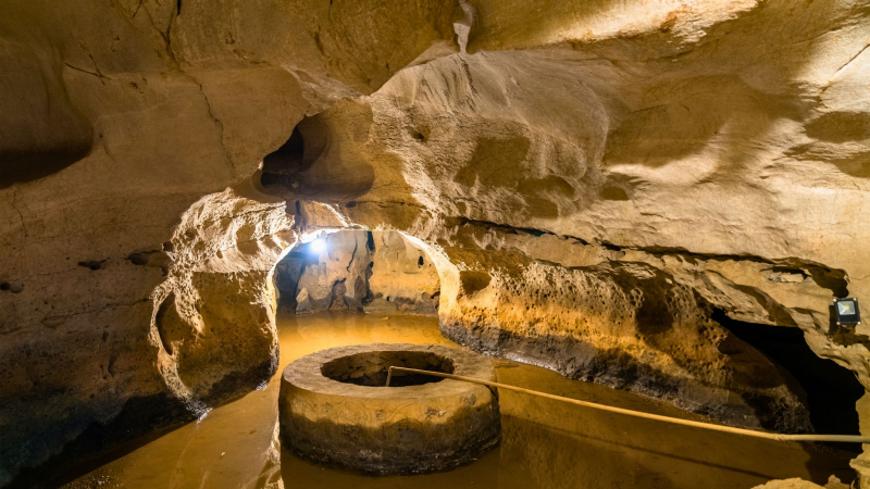 Bai Dinh Temple - Trang An & Mua Cave Join Tour from Hanoi — 6