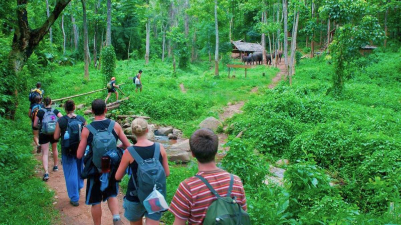 Cuc Phuong National Park Full Day — 1