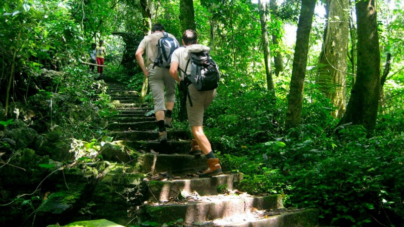 Cuc Phuong National Park Full Day — 2
