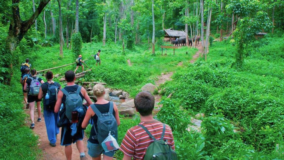 Cuc Phuong National Park Full Day