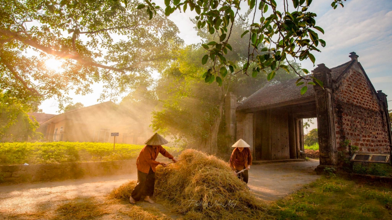 Duong Lam Ancient Village Full Day — 2