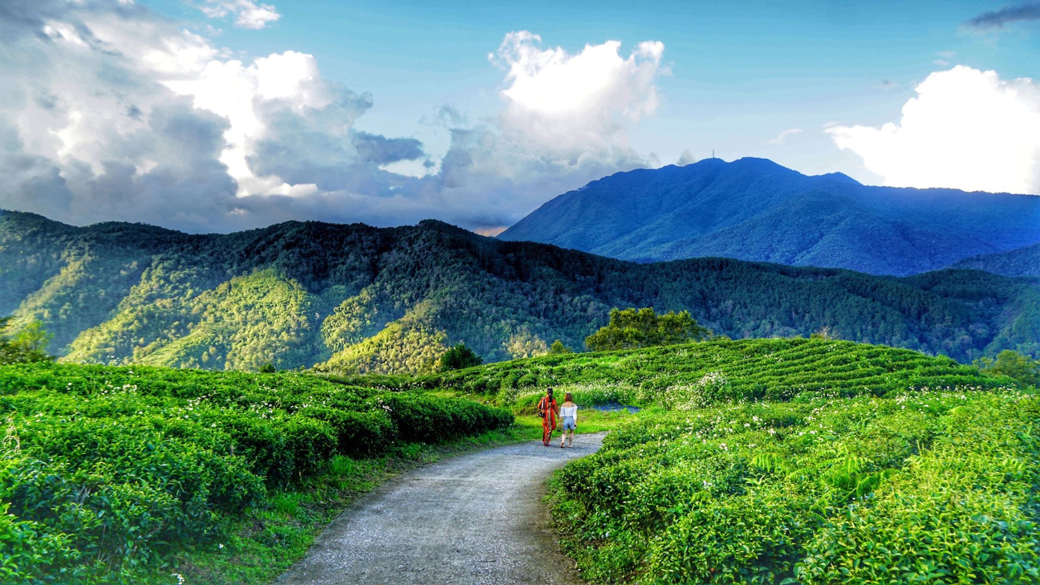Northern Vietnam Cultural Journey 9 days