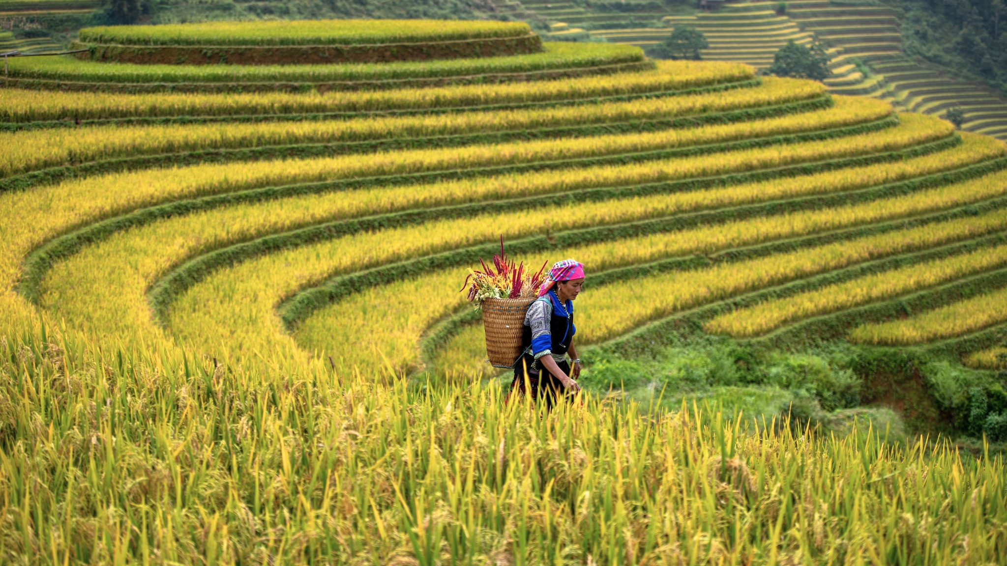 Ha Giang & Ba Be Adventure 7 Days