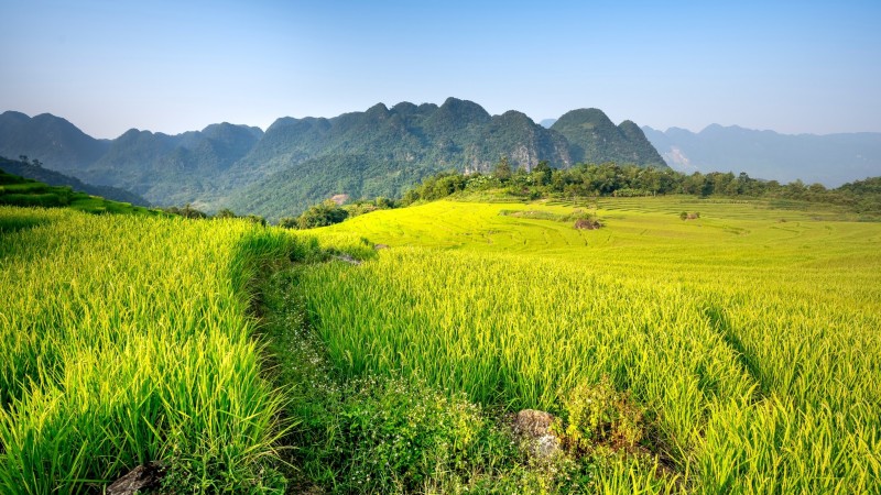 Mai Chau & Pu Luong Escape — 1