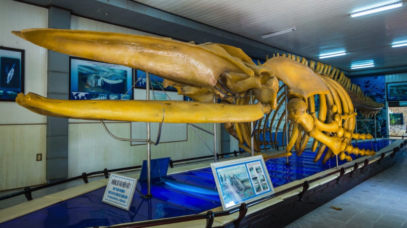 Nha Trang Culture Tour Full Day — 2