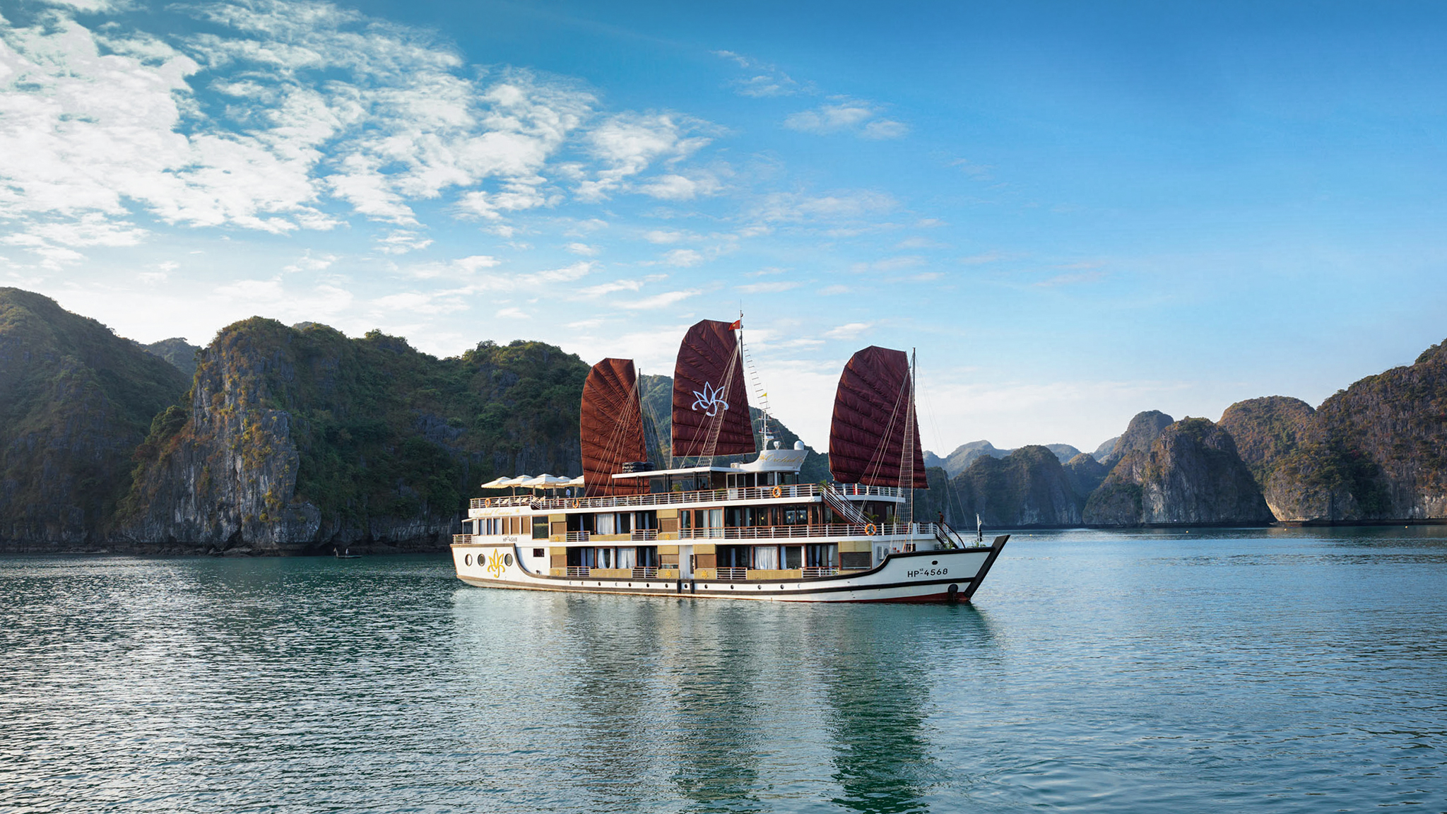 Orchid Cruise