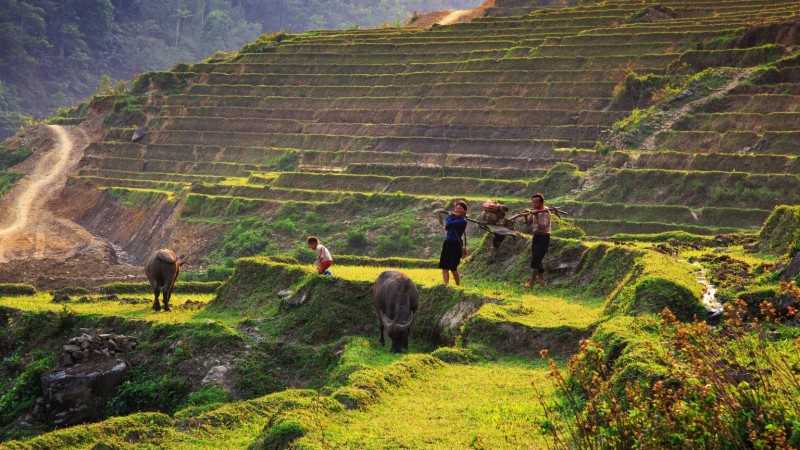 Sapa & Fansipan Adventure — 1