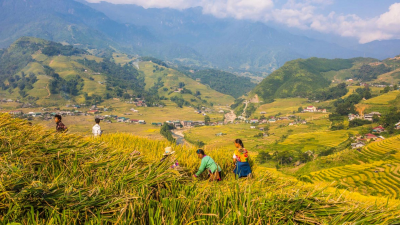 Sapa Valley Trekking Full day — 3