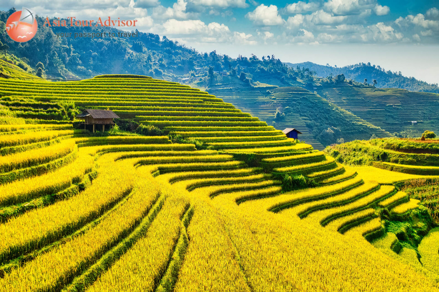 Dalat Coffee & Wine Experience